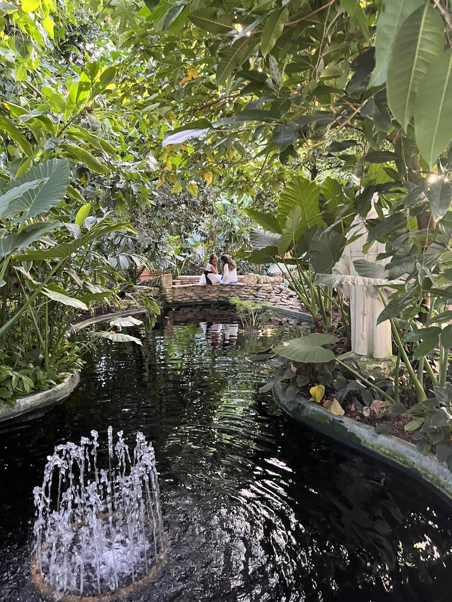 SETschritter's tweet photo. A few more photos of the wedding.
The service was the entrance song, a prayer, views, rings , another prayer, the pronouncement, and then dinner, lol!
Great night! Perfect venue. #comoparkconservatory #weddingday #weddings #amauthor #writingcommunity https://t.co/87xPukiDwp