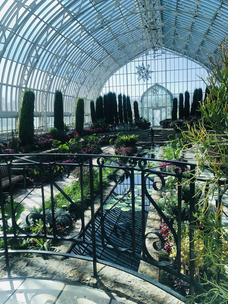 SETschritter's tweet photo. A few more photos of the wedding.
The service was the entrance song, a prayer, views, rings , another prayer, the pronouncement, and then dinner, lol!
Great night! Perfect venue. #comoparkconservatory #weddingday #weddings #amauthor #writingcommunity https://t.co/87xPukiDwp