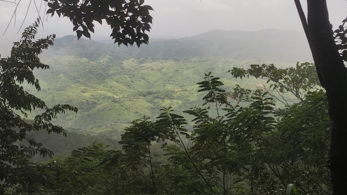 Ramón Antonio Rodríg tweet media