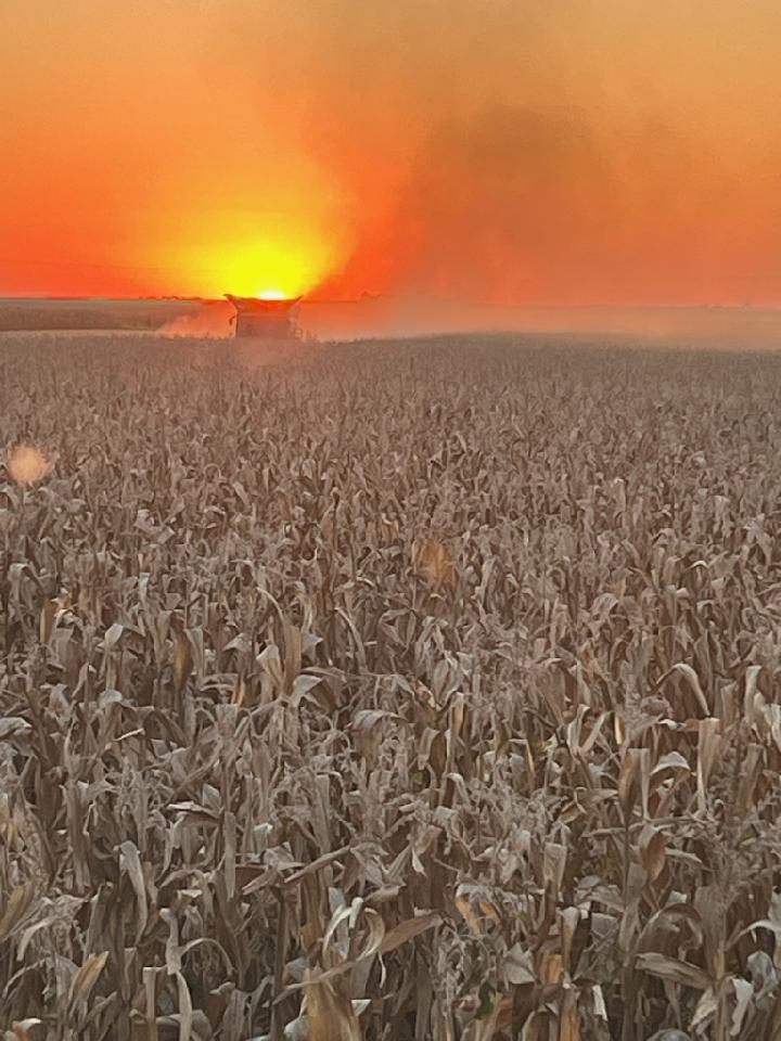 Todd Herbert tweet media