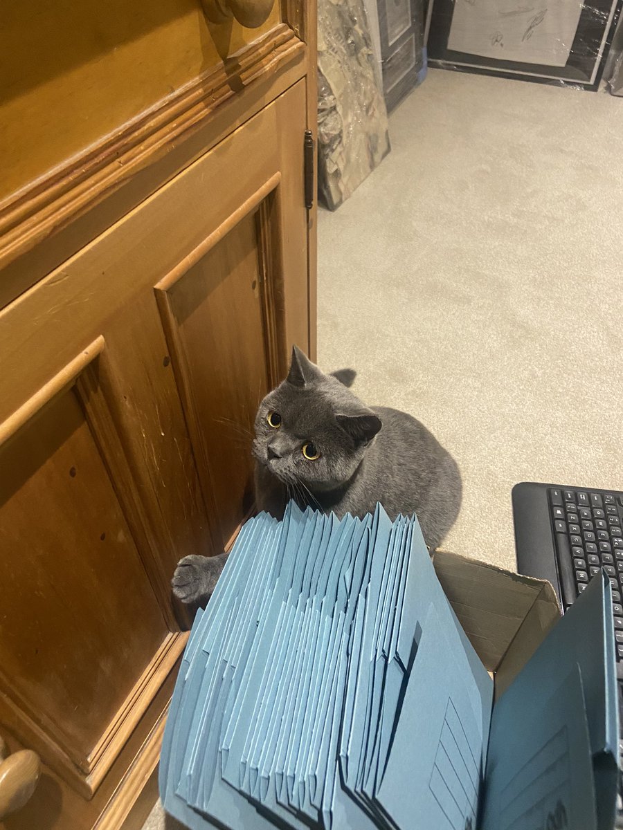 The boss says that’s enough marking coursework!