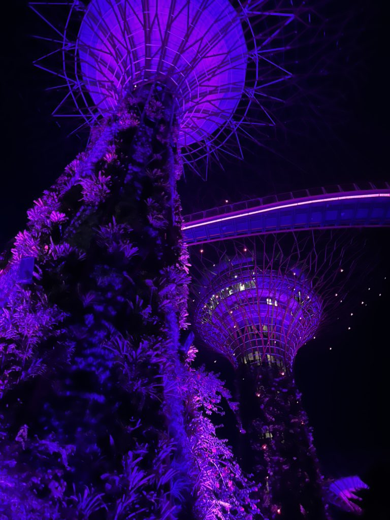 KateRebellious's tweet photo. Charming Marina Bay 😍😍 #enjoy #night #singapore #asia #marinabaysands #walk #trip #fun #instadaily #instagood #marinabaysingapore #likemyrecent #bestoftheday #enjoyment #happyme https://t.co/B0AkMzAQHc
