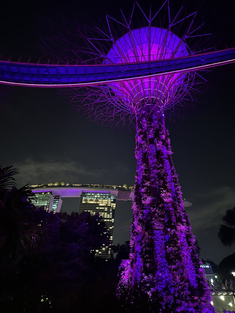 KateRebellious's tweet photo. Charming Marina Bay 😍😍 #enjoy #night #singapore #asia #marinabaysands #walk #trip #fun #instadaily #instagood #marinabaysingapore #likemyrecent #bestoftheday #enjoyment #happyme https://t.co/B0AkMzAQHc