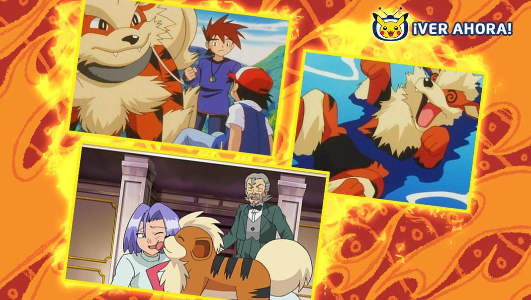 😍😍😍😍😍 #furry #ケモノ #羊毛フェルト #ピカチュウ #FelizViernesATodos #pokemonschoolscup #DetectivePikachu  
Original: Pokemonlatam