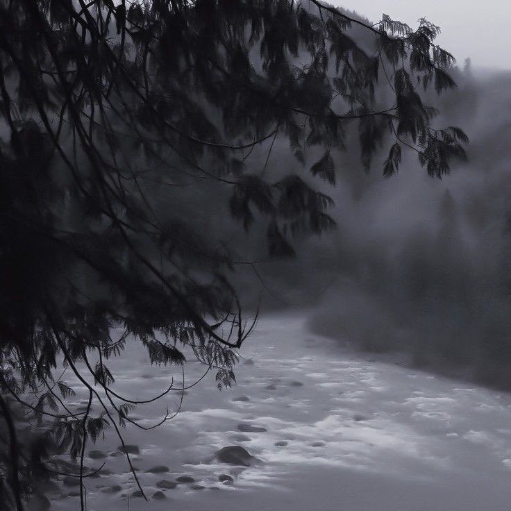 gIoomyweather's tweet image. gloomy.