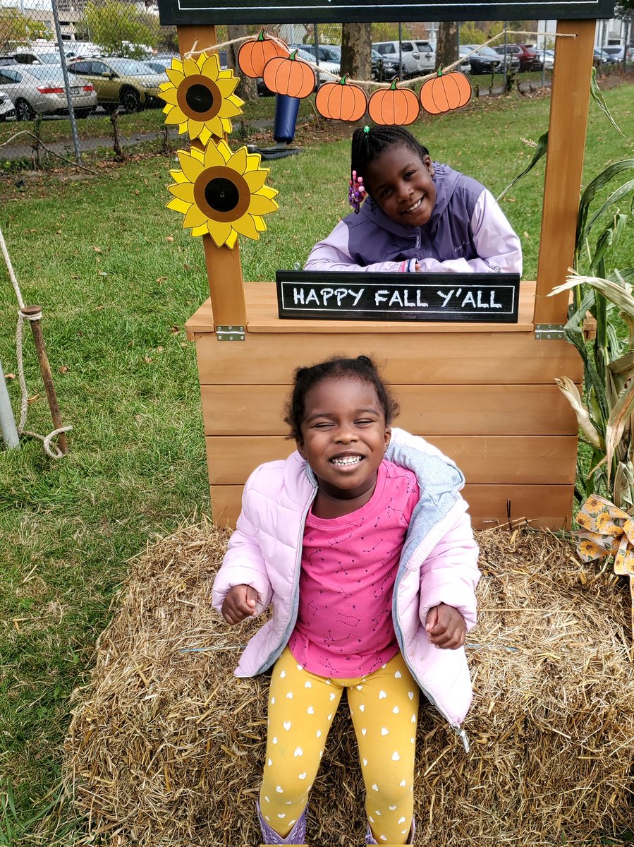 Daryl Lovell tweet media