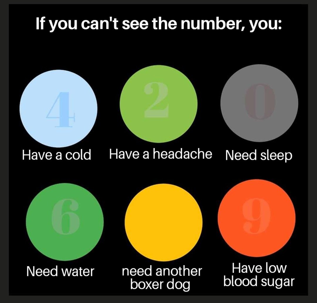NoNameDog05's tweet photo. Take the test https://t.co/w9TogVjCQS