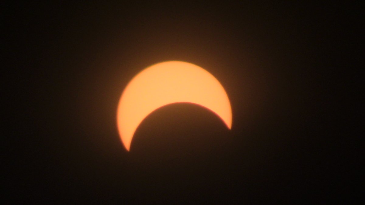 glennmarston's tweet photo. I photographed today's eclipse at 1:37 p.m. That was the eclipse's maximum in Bushnell, Florida. Bushnell is 43 miles northeast of Tampa. https://t.co/M7w88VxKO0