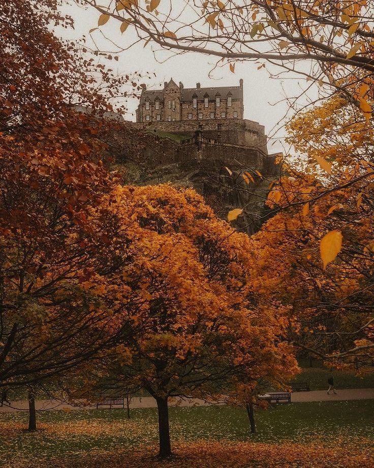 pamvonhadder's tweet photo. perfect autumn days 🤎🍂 https://t.co/MI1kAQCj6g