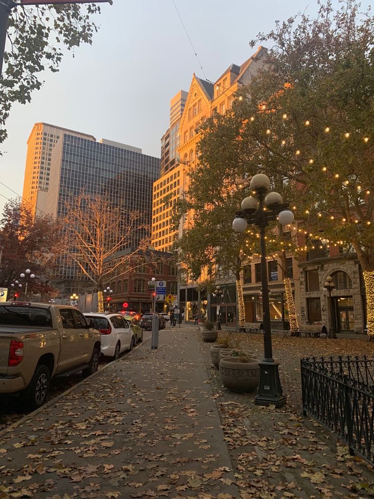 pamvonhadder's tweet photo. perfect autumn days 🤎🍂 https://t.co/MI1kAQCj6g