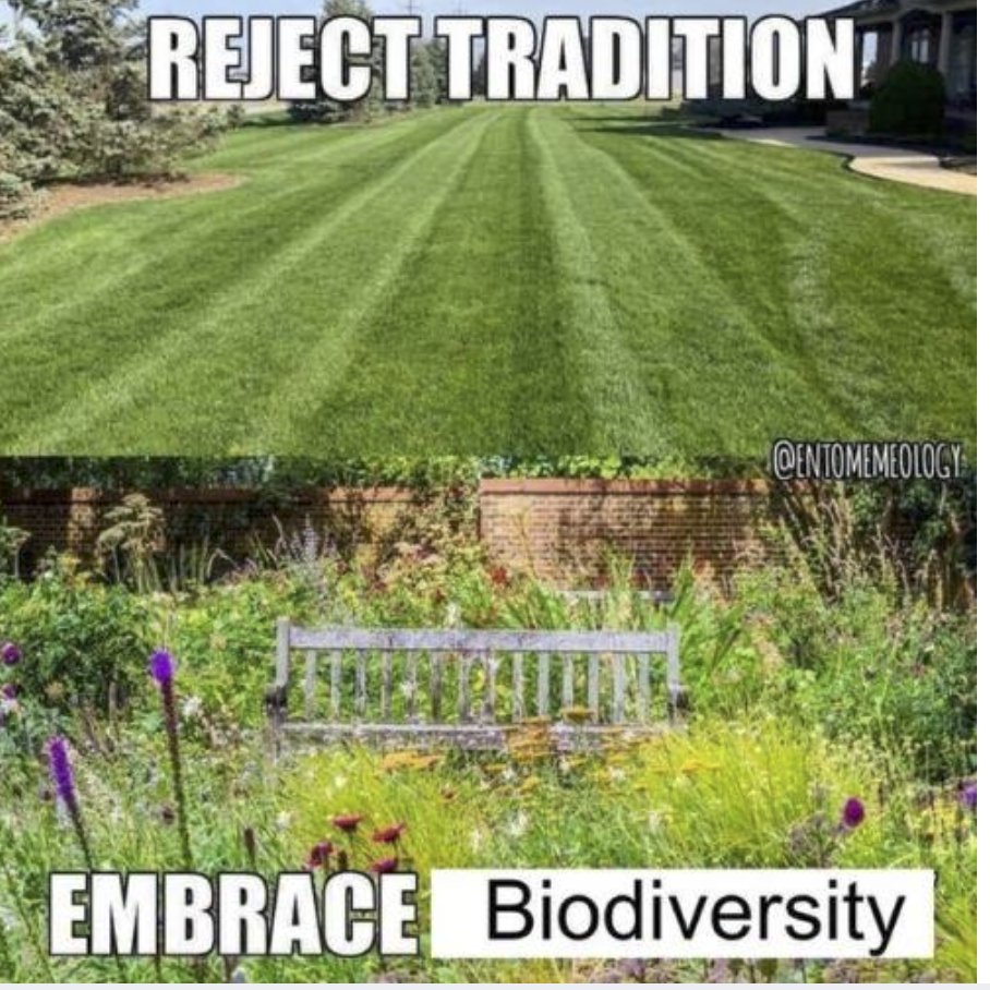 RespectfulMemes's tweet photo. https://t.co/a38fLoAe7j