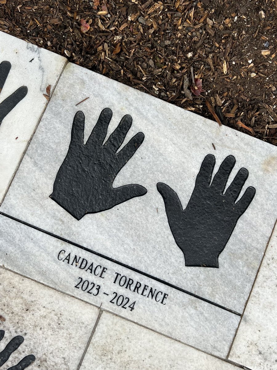 Candace Torrence tweet media