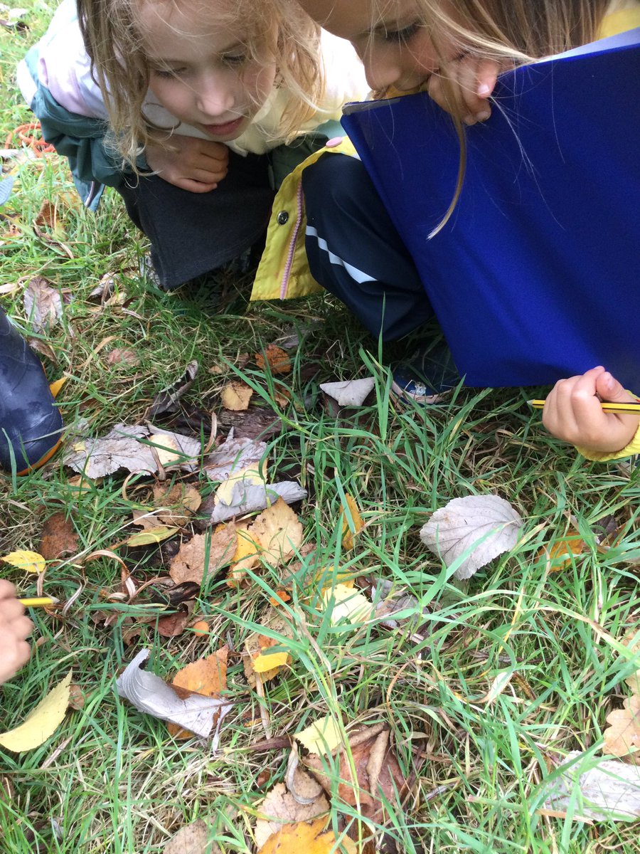 HAprimaryschool's tweet photo. Class 1 enjoyed looking for signs of autumn in the outside classroom this afternoon. https://t.co/AjaKyUVS4g