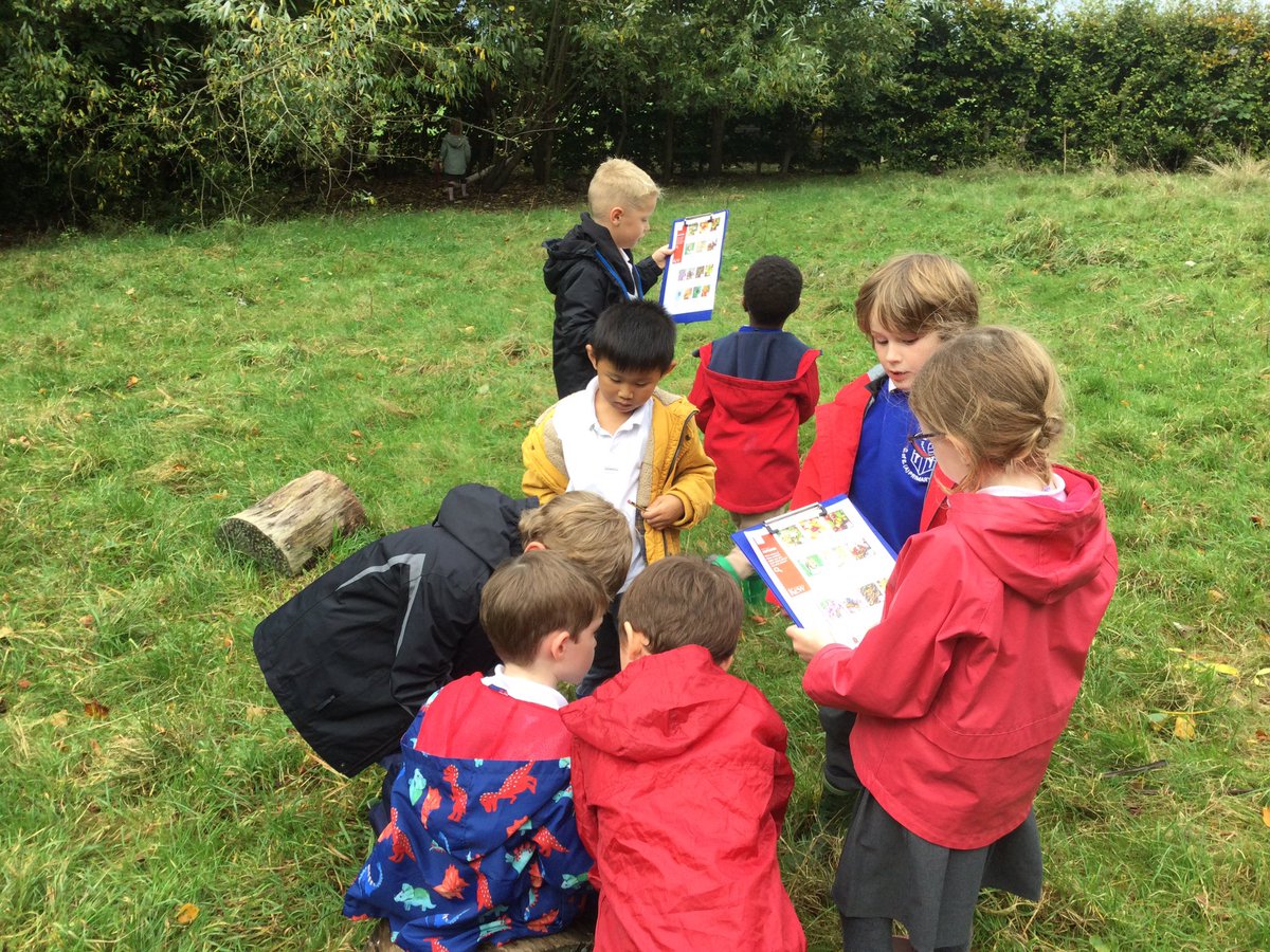 HAprimaryschool's tweet photo. Class 1 enjoyed looking for signs of autumn in the outside classroom this afternoon. https://t.co/AjaKyUVS4g