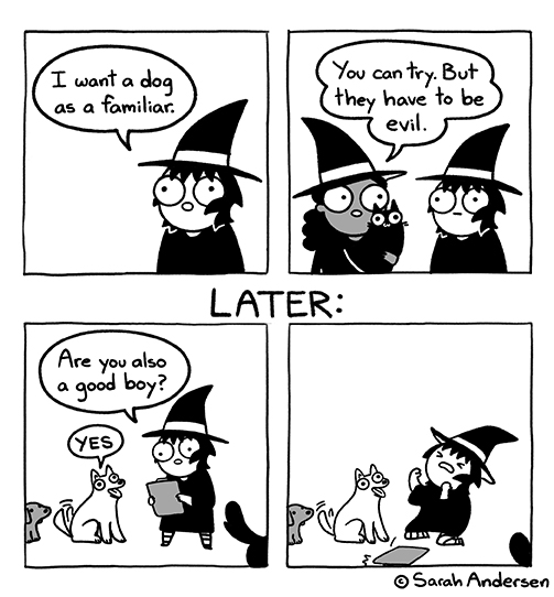 Sarah Andersen tweet media