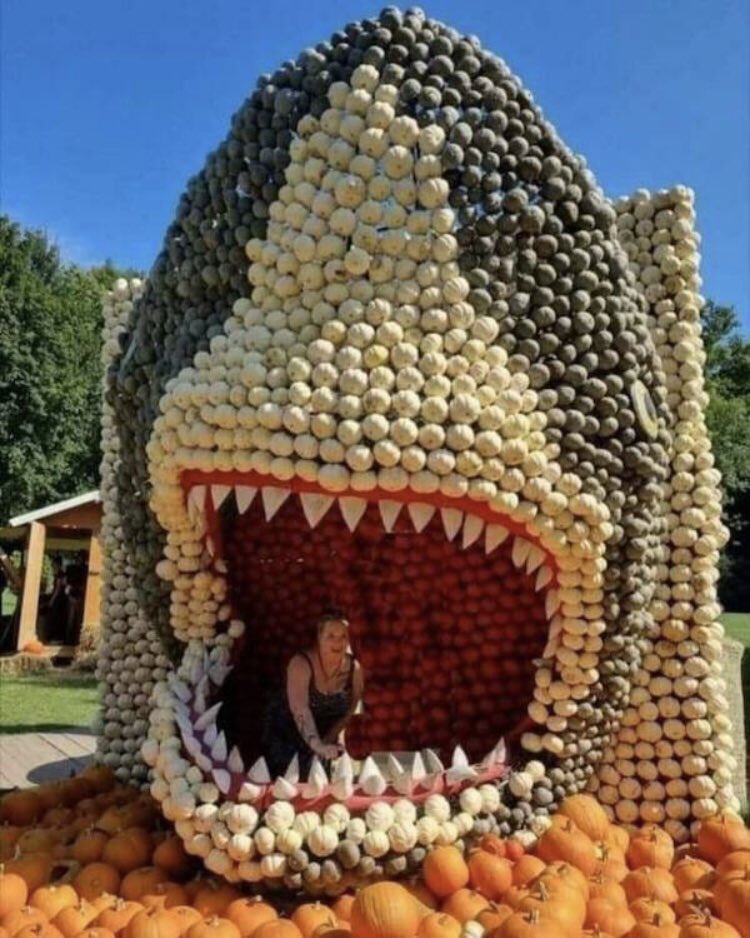 Andy Bowers tweet media