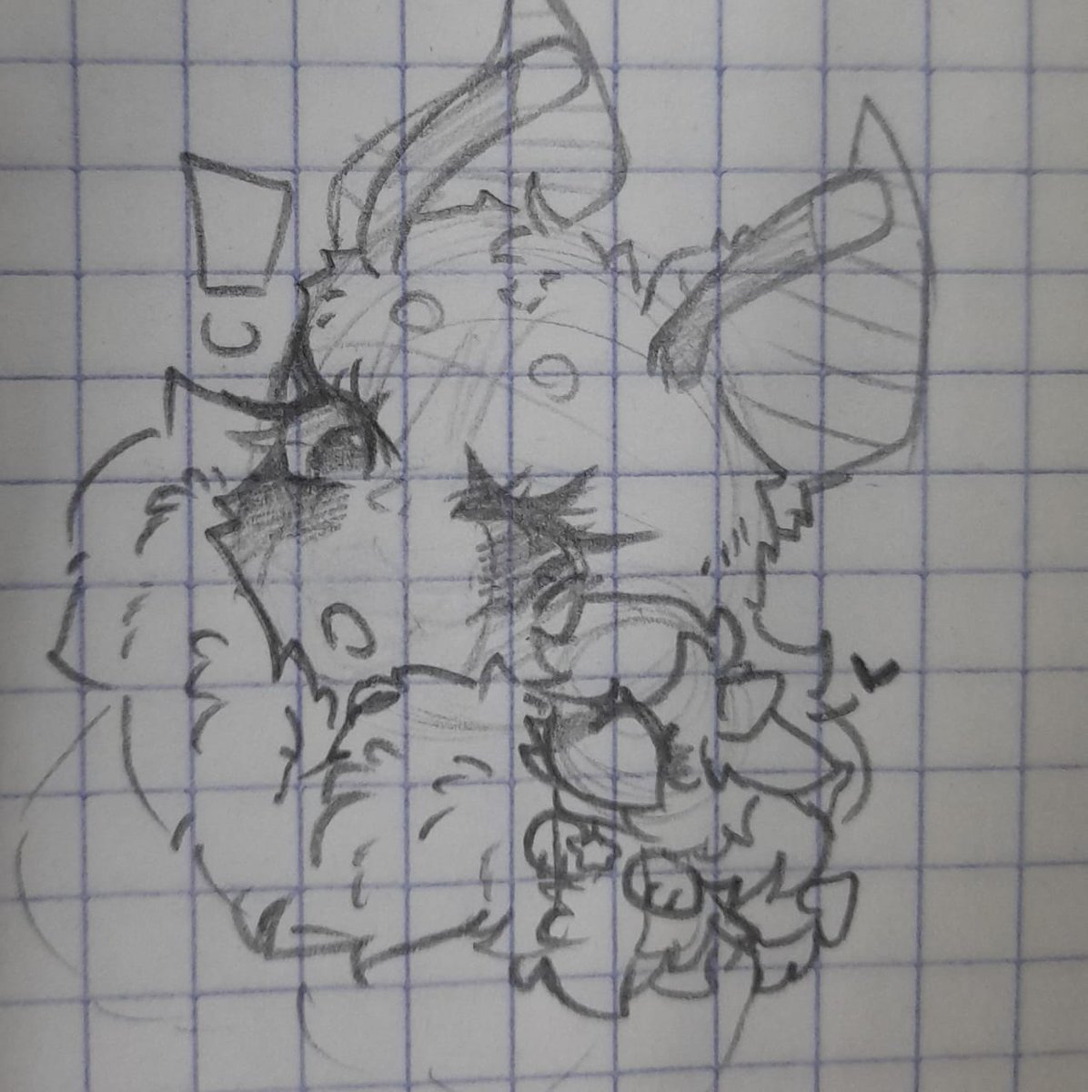 paper_sant's tweet photo. Que lindas,polilla grandota,gatita bipolar https://t.co/IVeFUnwdJy