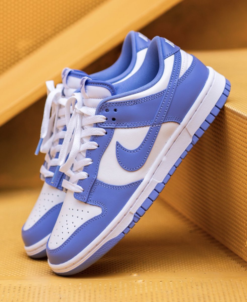 nike dunk low retro bttys