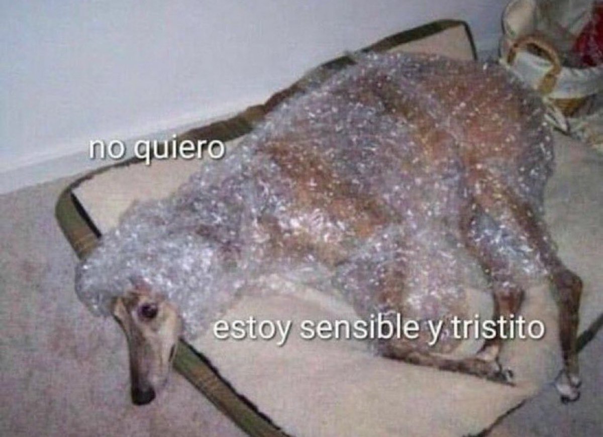 conoloracigarro's tweet photo. tristito https://t.co/RLlB89gmES