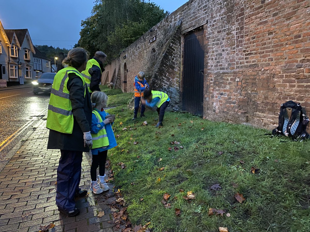 CSGGA's tweet image. Lovely morning spent planting 1500 bulbs, wild daffodils and fritillaries in Pheasant Hill and Riverside Walk. Thanks to those who turned out to help. Also thanks to the two beaver colonies who planted crocus and snowdrops earlier in the week and to Yaldens for the violas.