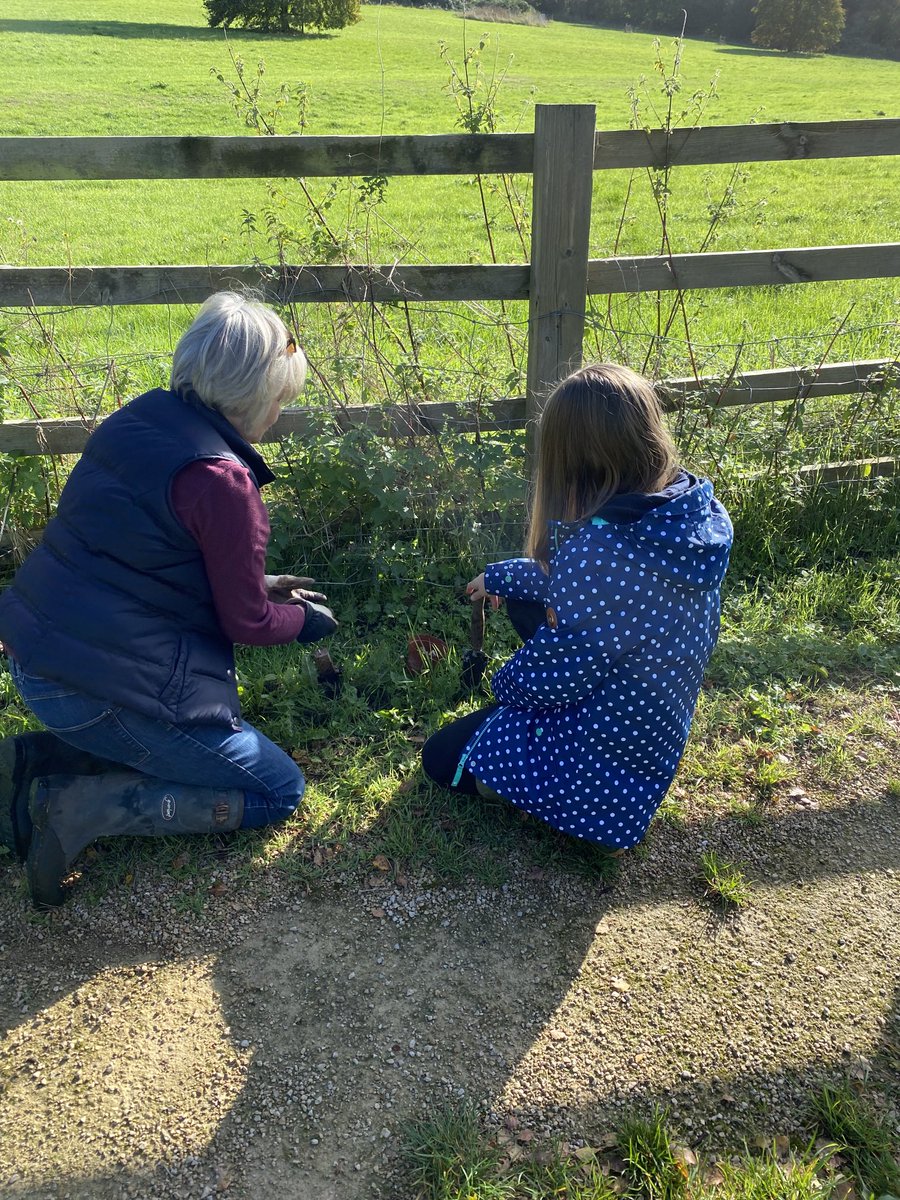 CSGGA's tweet image. Lovely morning spent planting 1500 bulbs, wild daffodils and fritillaries in Pheasant Hill and Riverside Walk. Thanks to those who turned out to help. Also thanks to the two beaver colonies who planted crocus and snowdrops earlier in the week and to Yaldens for the violas.