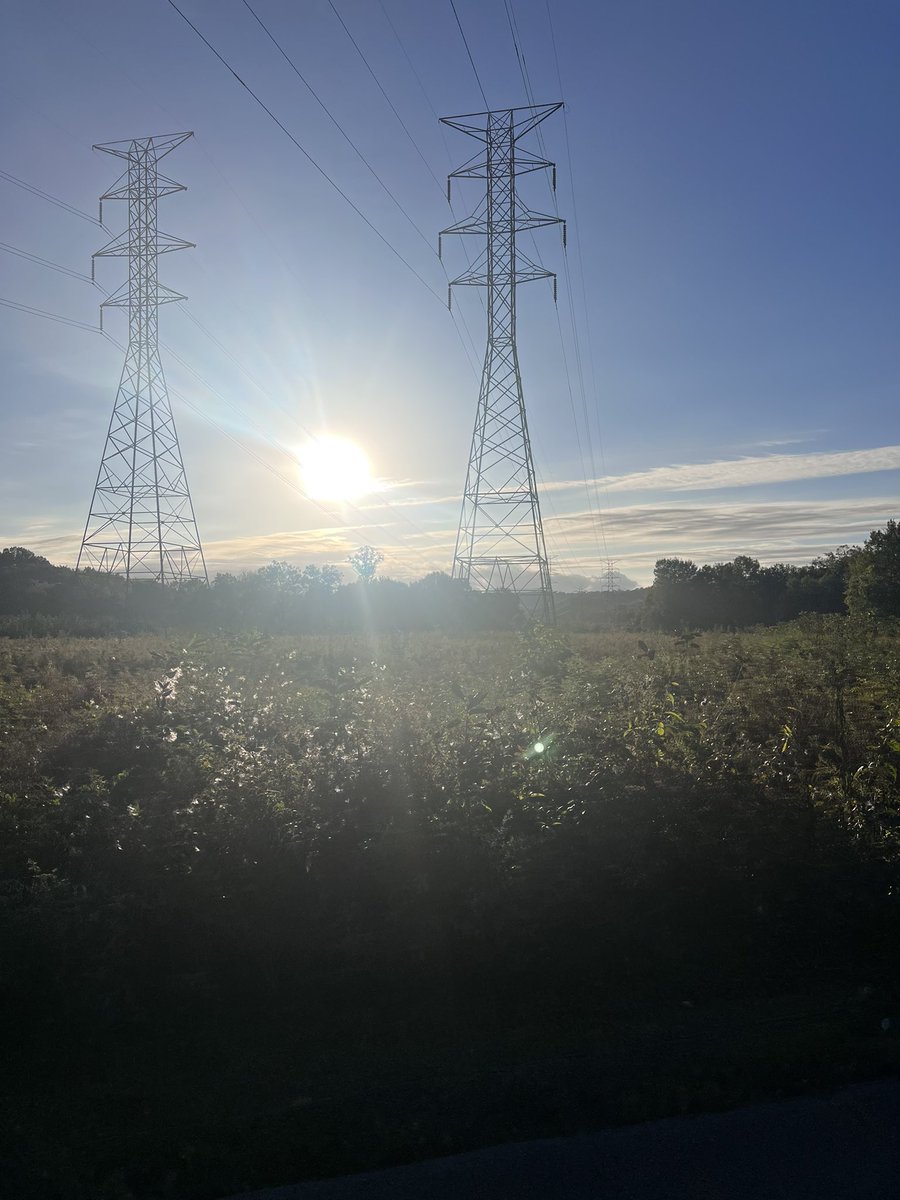EducatorHobbs's tweet photo. Step into serenity. 🏃♂️ Let the rhythm of each stride clear your mind and invigorate your spirit. #RunToRefresh #MindfulMiles https://t.co/uwROe5WwWx