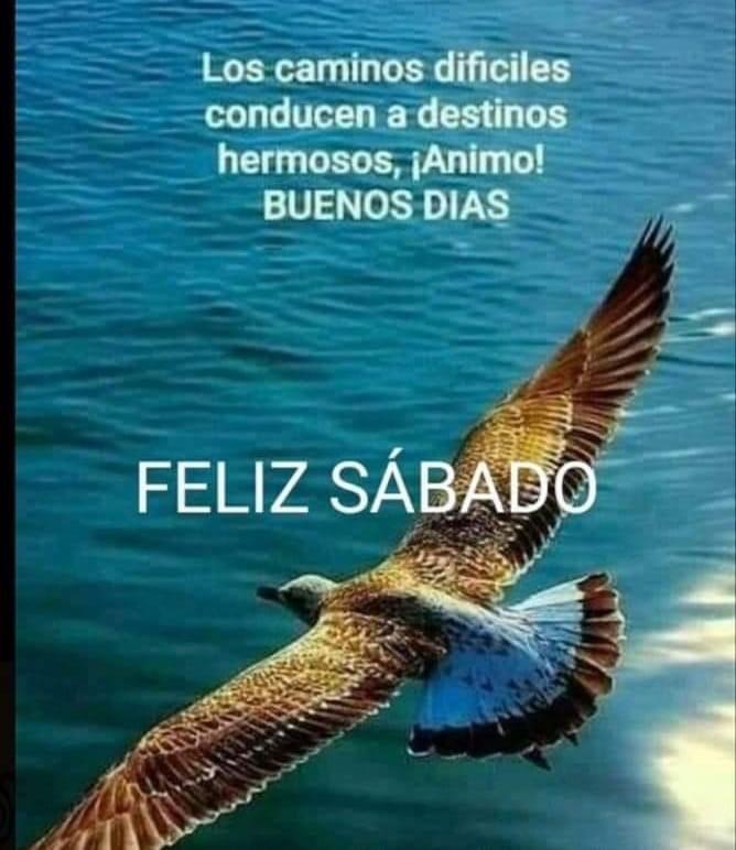 Buenos días!!!