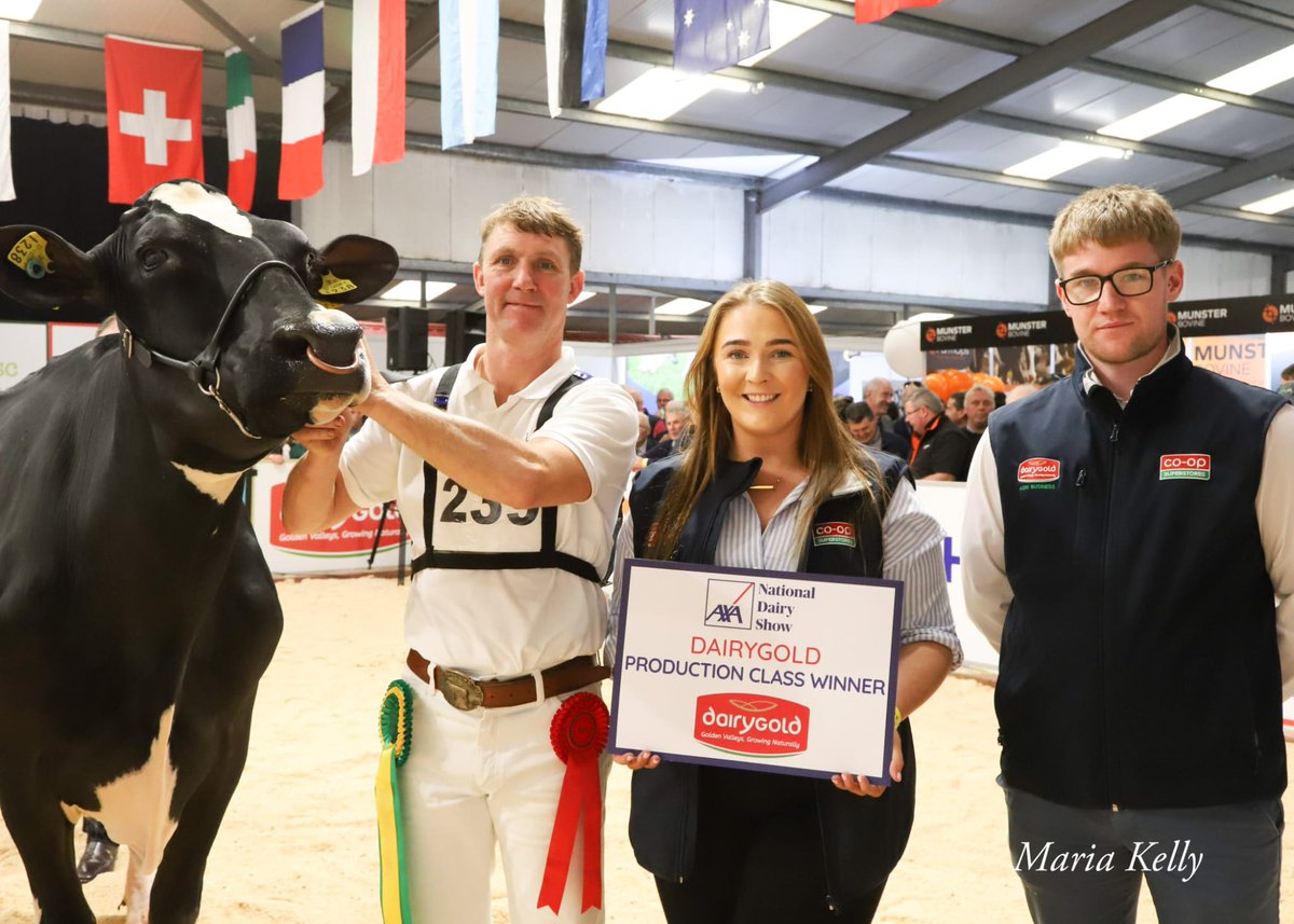 Class. 20 Production - Confined to cows having produced over 3,000kgs lifetime combined fat &amp; protein Sponsored by Dairygold (3)

1st Hallow Atwood Carmen 
2nd Laurelelm Slick Brillant 
3rd Lissaniskey Mcdougal T Unity EX 92