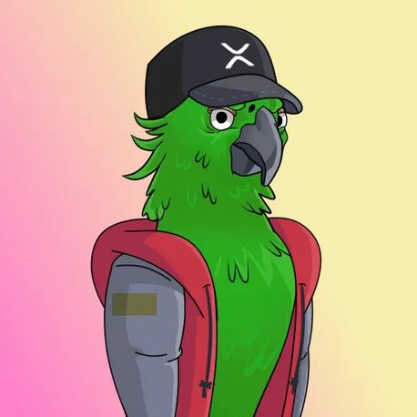 VYBZxrpl's tweet photo. #xparrot #genesiskey
@XparrotsNFT  🔥🔥🔥🔥 https://t.co/xjbDm3T6PJ