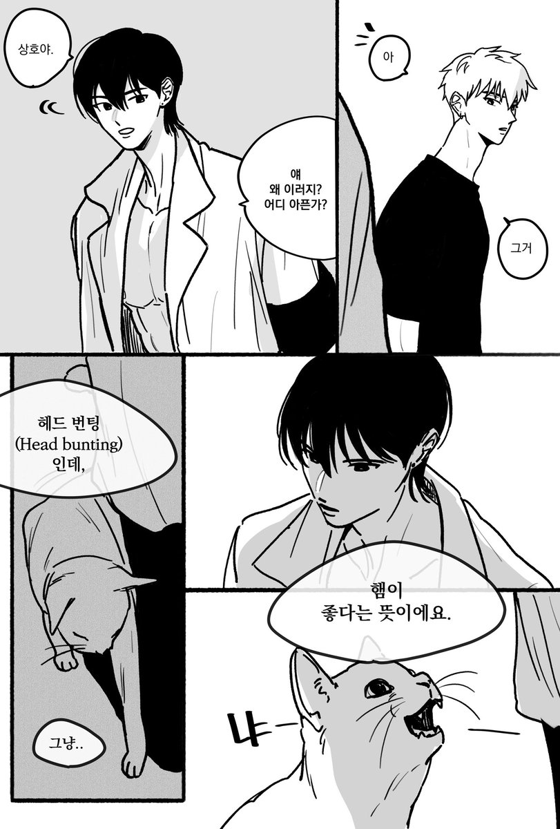 suloful's tweet photo. 뇌절 끝 https://t.co/NXHA8f6hat