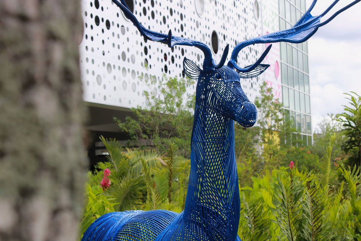 LNWaveHotel's tweet photo. Oh Deer, Oh Deer 🦌
Inspired by the abundant nature of Lake Nona, meet some of our new friends who made Wave their home.
How many can you spot around the Nona Hood 👀
#lakenonawavehotel #lakenona #orlando #deer #sculptures #art #orlandoart #luxury #wavehotel #nonahood https://t.co/Tz7Z18LvKe