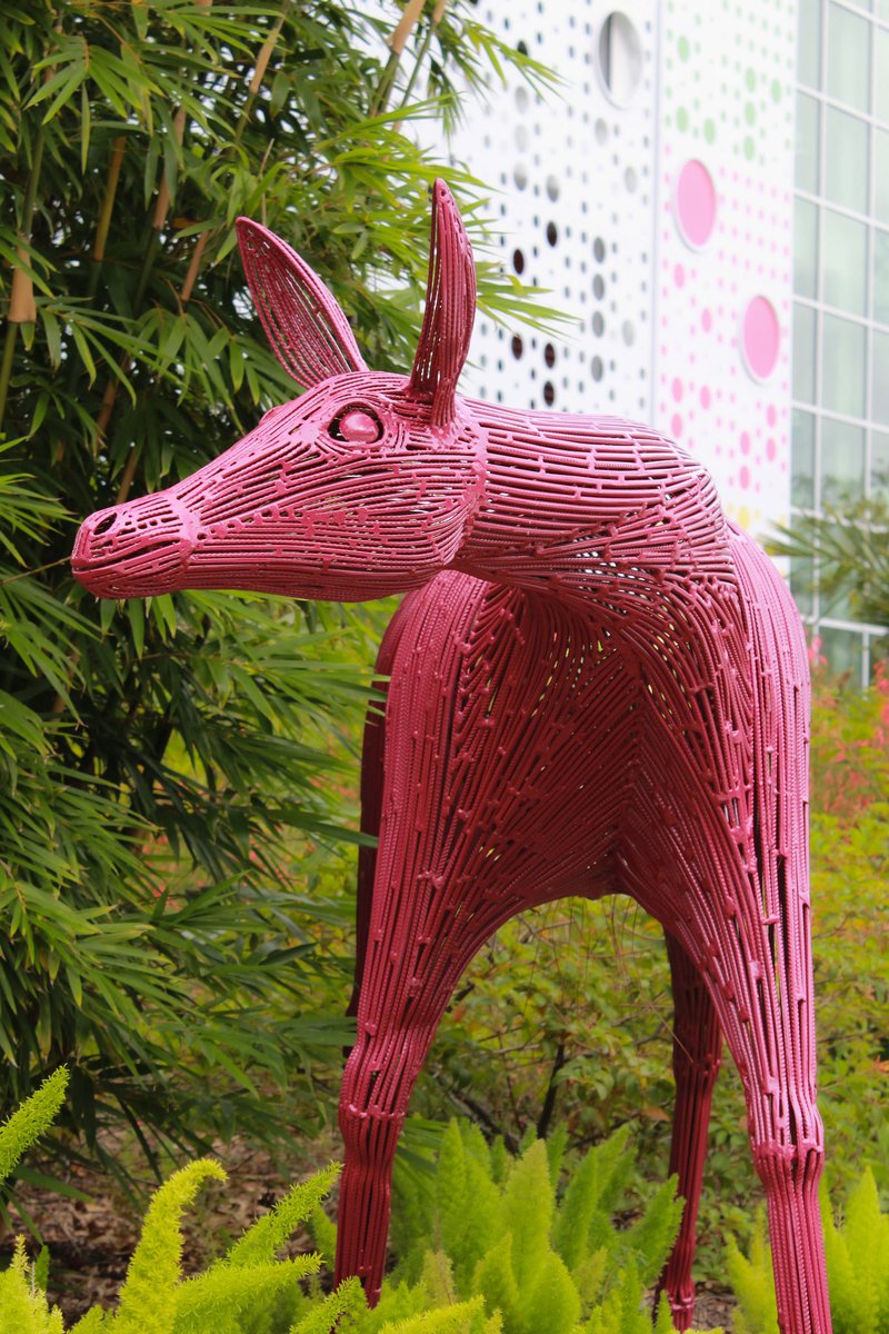LNWaveHotel's tweet photo. Oh Deer, Oh Deer 🦌
Inspired by the abundant nature of Lake Nona, meet some of our new friends who made Wave their home.
How many can you spot around the Nona Hood 👀
#lakenonawavehotel #lakenona #orlando #deer #sculptures #art #orlandoart #luxury #wavehotel #nonahood https://t.co/Tz7Z18LvKe