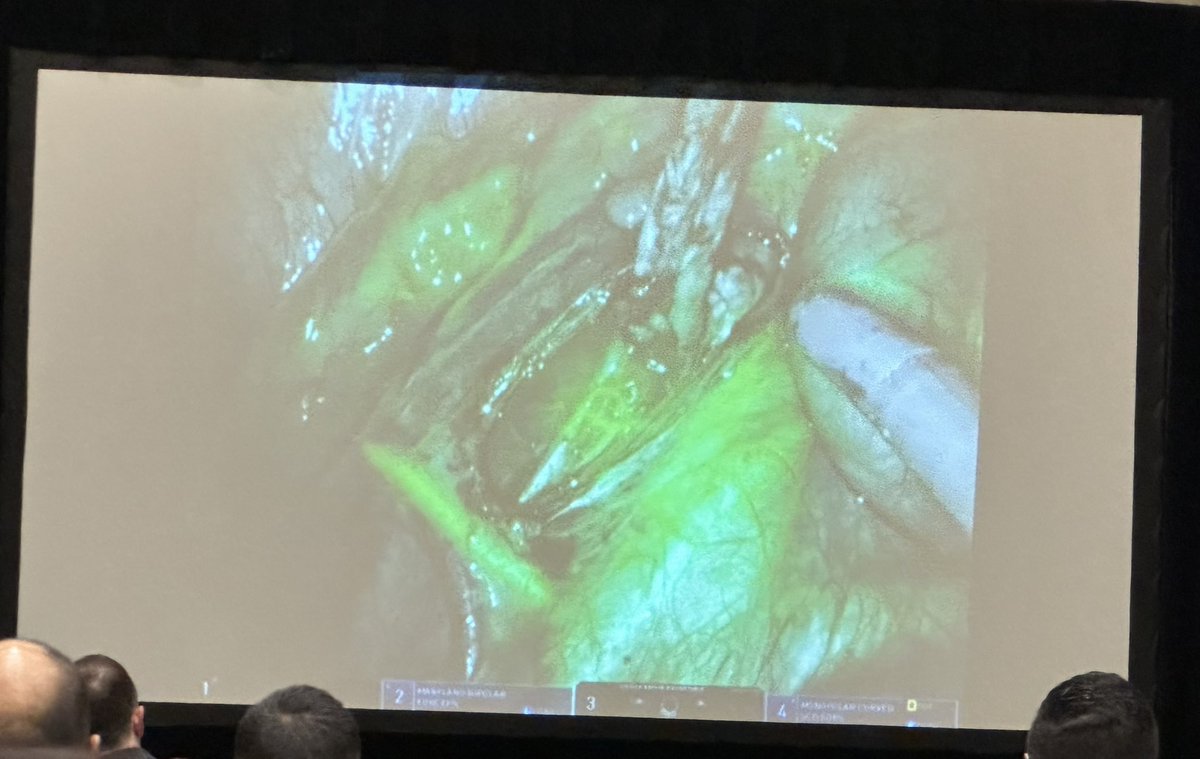 Candace Granberg, MD tweet media