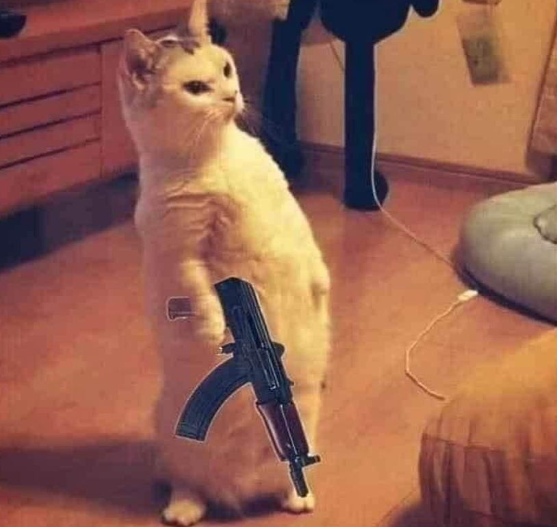 Cat.eth tweet media