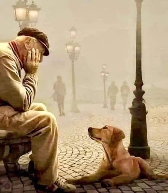 Today I adopted a human... It broke my heart to see him so alone and confused. I suddenly saw his watery eyes as he looked into mine. So I barked with all my might and went after him, following from house to house. Finally, I got close enough to touch his hand with my nose. The