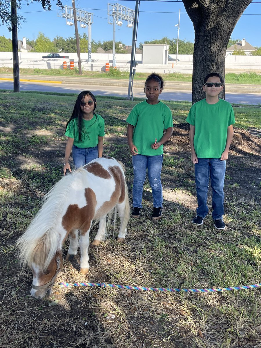 Alief_Career's tweet photo. @AliefISD @AliefWellness #aliefcte @AliefVetScience @AliefFfa #aliefproud   Help us by liking and retweeting !! https://t.co/8MbHmQQUC7
