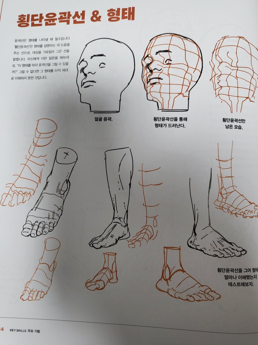 특히나 흥미로웠던 점은 막연히 실루엣과 윤곽에 대해 들어왔던 두리뭉실한 지식대신 <실루엣>을 이용해 어떻게 형태감을 다지고, 그림을 검토하고, 분석해서 사실적으로 그려낼수있는지  <스스로 개선점을 찾아내는 도구>로서 우리가 배운 지식을 [사용]하는 방법을 알려준다는 거에요.