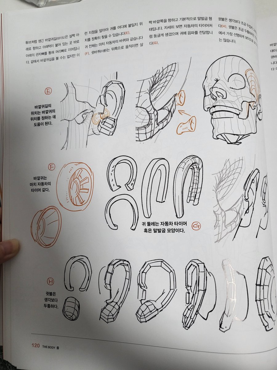 여러분은 귀나, 손발, 피부주름과 혈관등 세밀한 작은 부분까지도 도형화 해보신적이 있으신가요? 이책은 그 과정을 모두 보여줍니다. 많은 해부학과 드로잉 책을 보았지만, 이렇게까지 치밀하고 세세하게, 각부위를 근육 하나하나까지 챕터를 나눠 보여주는 책은 처음이라 정말 신선했습니다.