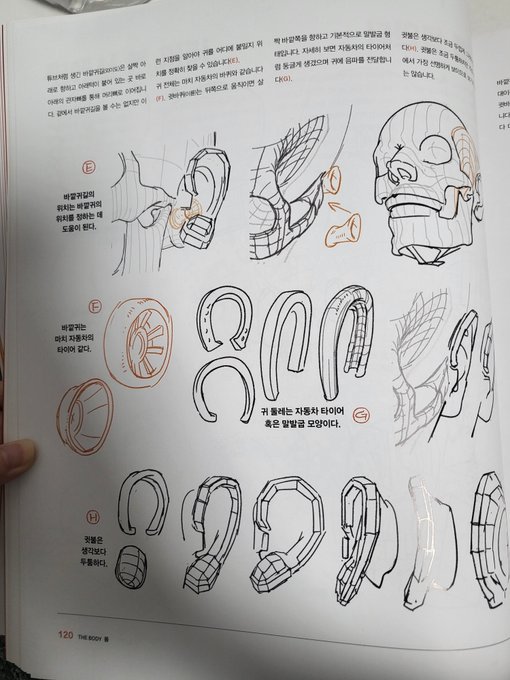 여러분은 귀나, 손발, 피부주름과 혈관등 세밀한 작은 부분까지도  도형화 해보신적이 있으신가요? 이책은 그 과정을 모두 보여줍니다. 많은 해부학과 드로잉 책을 보았지만, 이렇게까지 치밀하고 세세하게, 각부위를  근육 하나하나까지 챕터를 나눠 보여주는 책은 처음이라 정말 신선했습니다. 