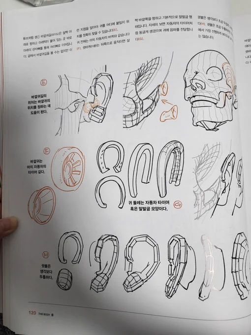 여러분은 귀나, 손발, 피부주름과 혈관등 세밀한 작은 부분까지도  도형화 해보신적이 있으신가요? 이책은 그 과정을 모두 보여줍니다. 많은 해부학과 드로잉 책을 보았지만, 이렇게까지 치밀하고 세세하게, 각부위를  근육 하나하나까지 챕터를 나눠 보여주는 책은 처음이라 정말 신선했습니다. 