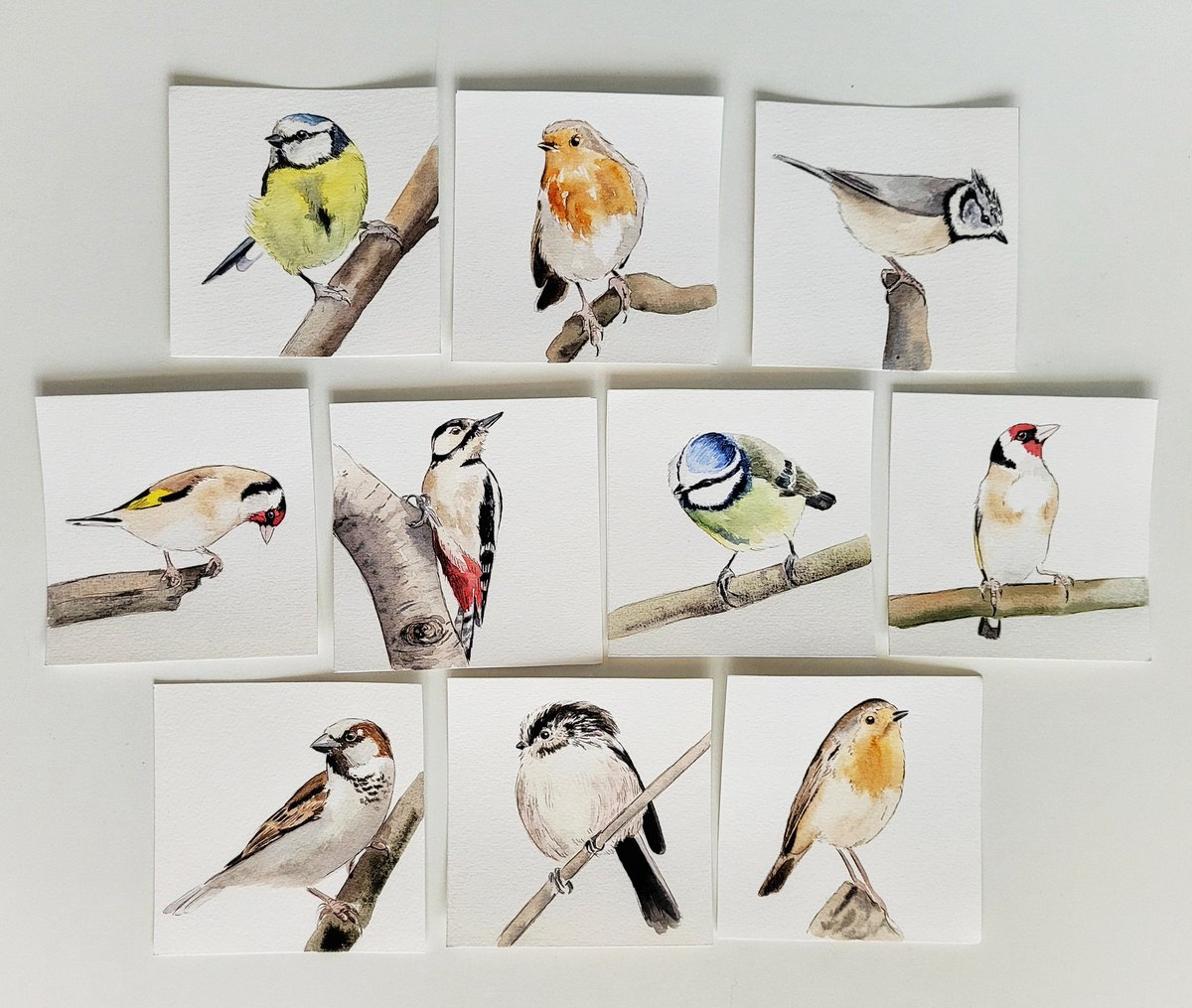 JojanTekent's tweet photo. Weer wat Kleinkunst-vogeltjes geschilderd.

Deze verschijnen binnenkort in mijn shop.

Nu tijd voor bad! https://t.co/iBkOV5Ks5n