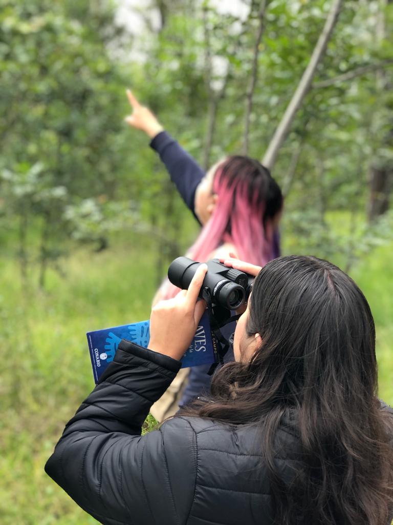LAURABARRANCO's tweet photo. Hoy arrancamos una nueva actividad en el #ParqueNacionalLosRemedios #AVerAves con WendyBird habrá talleres y veremos el #EclipseSolar. 
Todo esto es #AcuerdoDeEscazú https://t.co/rnue8N79HG
