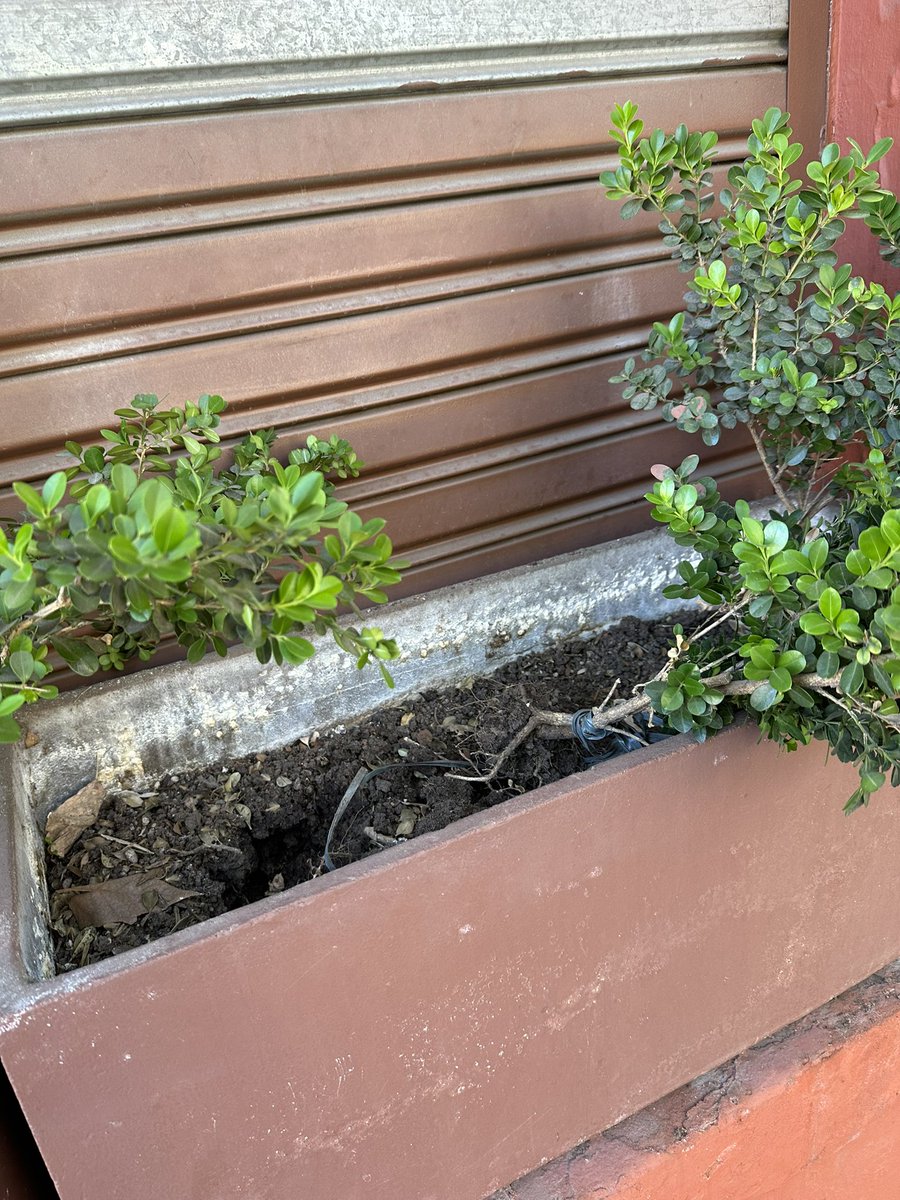 valangelini's tweet photo. Otra vez! Todos los días! Cuando piensan hacer algo para que dejen de destruir todo lo que tanto nos cuesta? Todos los días rompen mi local @horaciorlarreta @bacomuna14 https://t.co/phhRhIgVYB