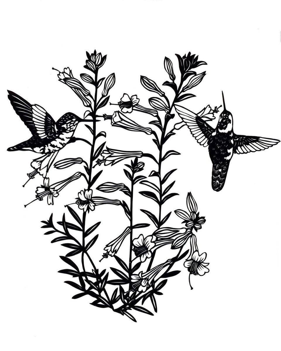 SFBGS's tweet photo. Come visit the new art exhibit, "California Birds and Plants" by Daniela Yew in the Helen Crocker Russell Library! Delicate and intricate, these black &amp; white portraits of California birds and plants are wonders of close observation, concentration &amp; detailed craftsmanship. https://t.co/bTGPYjjL8o