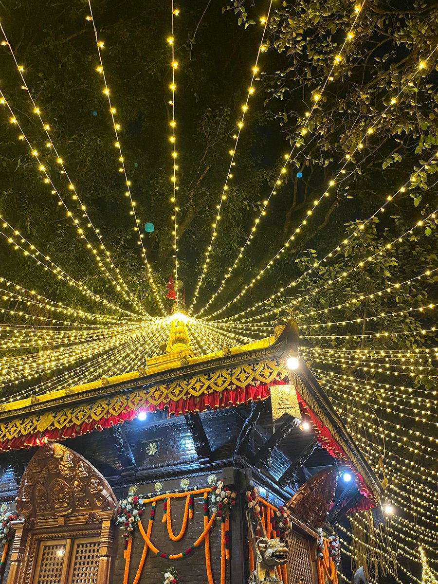 ishanjii's tweet photo. Dashain aayo 🥳 https://t.co/z46LVyz8MW