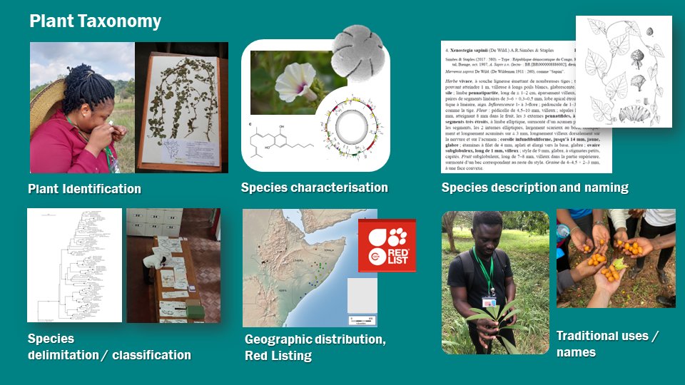 Ana Rita Simões tweet media