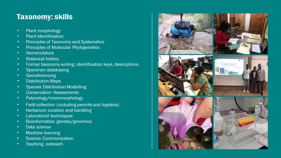 Ana Rita Simões tweet media