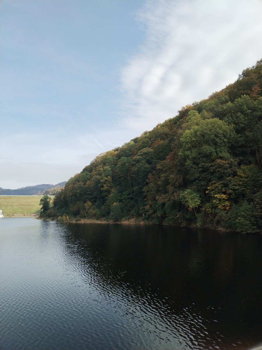 Eleni Ilkou tweet media