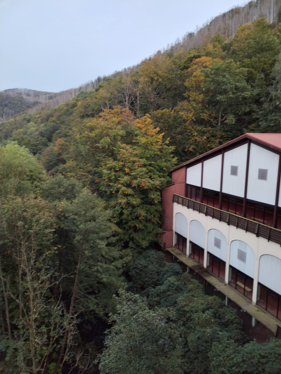 Eleni Ilkou tweet media