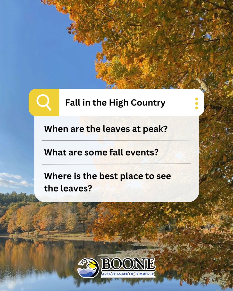 BooneNCChamber's tweet photo. The colors have arrived and autumn in the High Country is in full swing! π
β
For events, a peak week map, leaf-looking recs, and community FAQ's, check out our Visitors Information page π² https://t.co/4rZS2t3yBcβ
β
#828isgreat #fall #boonenc #exploreboone #highcountry https://t.co/Ptu8dgm0Ts